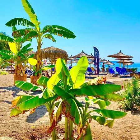 Zoom Kandia