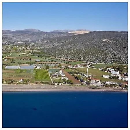 Zoom カンディア